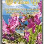 FSC «THE ENERGYS OF BLOOMING»