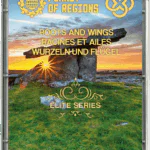 FSC «ROOTS AND WINGS»